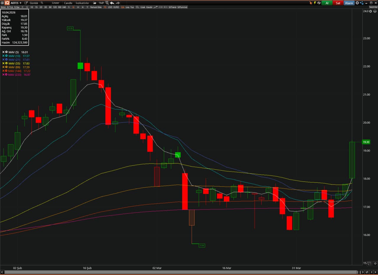 AEFES analiz görseli
