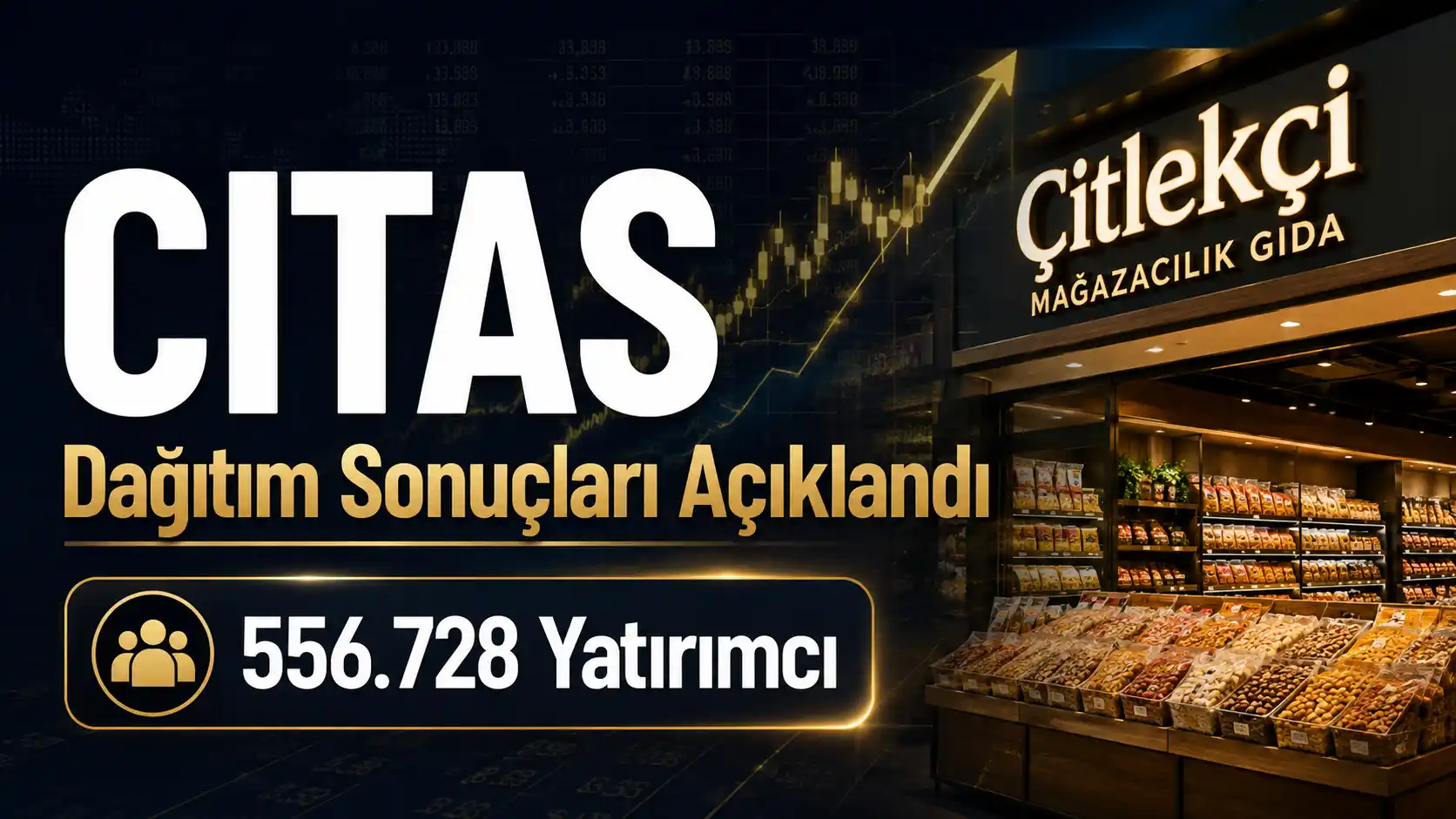 Çitlekçi Mağazacılık Gıda halka arz dağıtım sonuçları tablosu