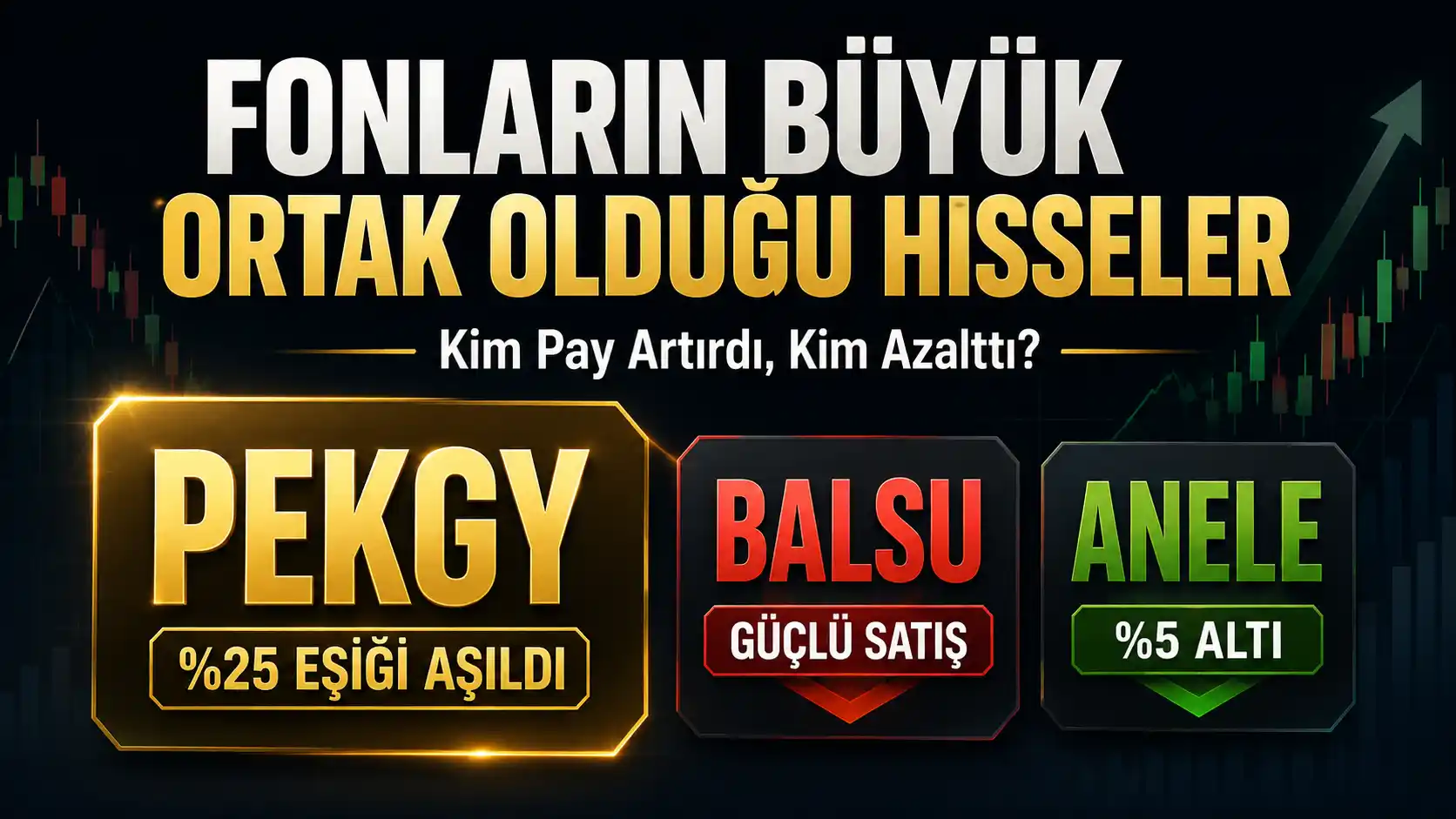 PEKGY BALSU ANELE ve TEHOL hisselerinde fonların haftalık pay değişimlerini anlatan haber görseli