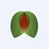 Acacia Maden İşletmeleri A.Ş. logo